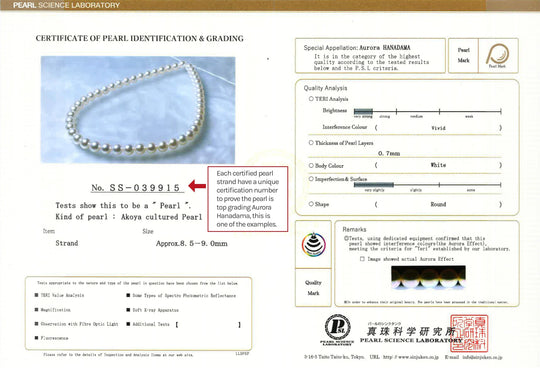 🔥Jualan Panas DISKAUN 50%+Kotak Hadiah (Percuma) 🎁 Kalung Mutiara AAAA
