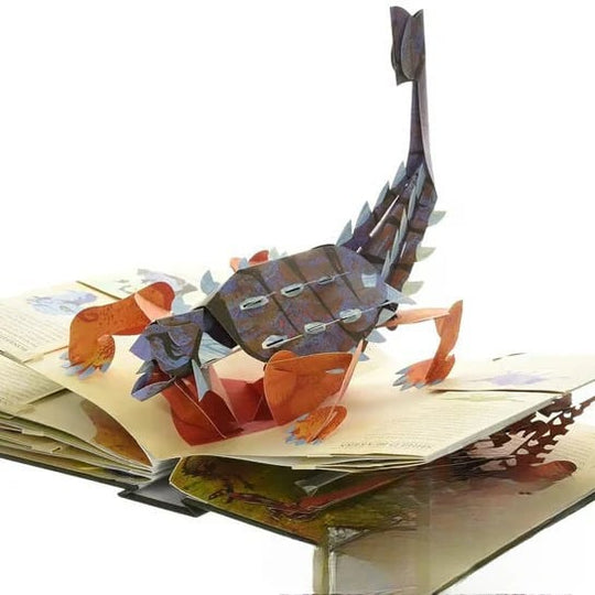 🦖 BULK BUY & SAVE! 📚 3D Prehistoric Dinosaur Encyclopedia - Pop-Up Book with 35 Species, Interactive Learning for Kids' Curiosity 🧠✨