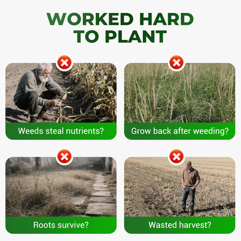 🔥Powerful Concentrated Herbicide