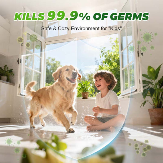 All-Purpose & No-Rinse Cleaning Spray