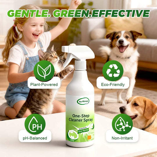 All-Purpose & No-Rinse Cleaning Spray