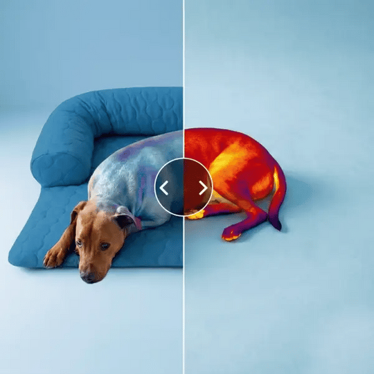 Cooling Dog Bed