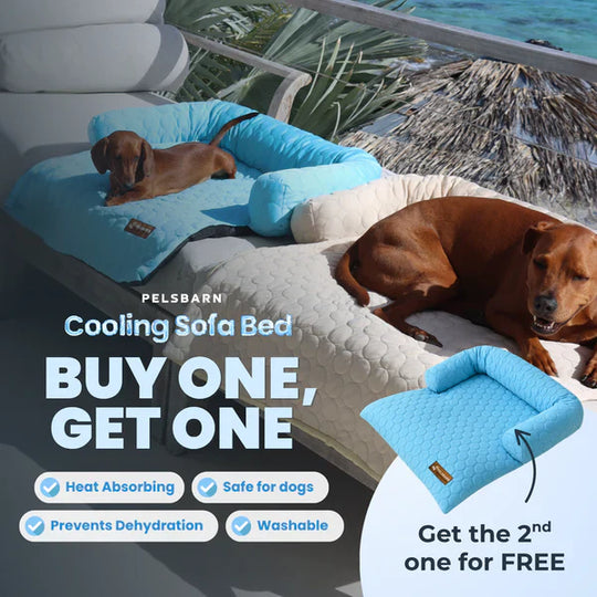 Cooling Dog Bed