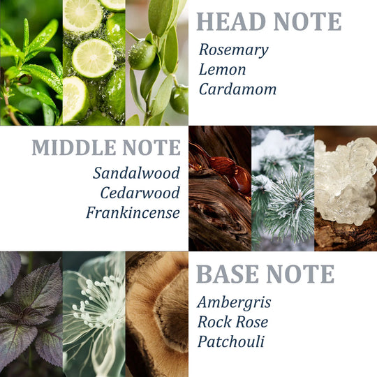 Rozmarýnový šampon Tgideas