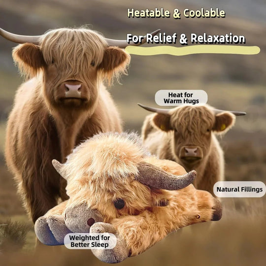 🎁LAST DAY SALE 50% OFF🎁Cute Cartoon Highland Cow Stuffed Toy