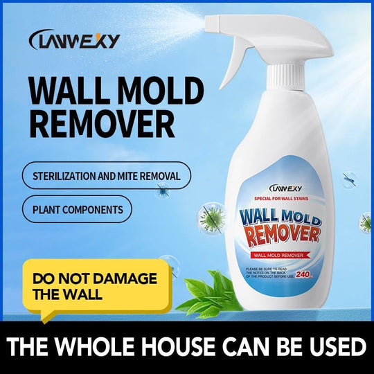 🎁Black Friday limited time sale!🎁Lanwexy Highly Effective Mould Removal Spray - Prevents Mould Regrowth