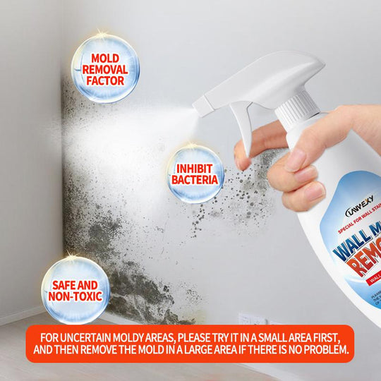 🎁Black Friday limited time sale!🎁Lanwexy Highly Effective Mould Removal Spray - Prevents Mould Regrowth