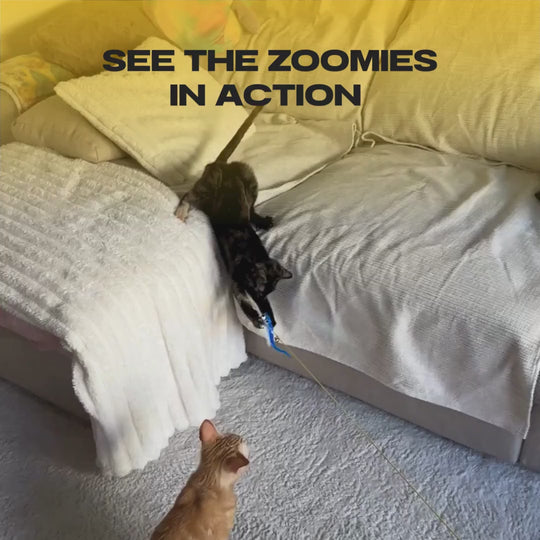 BUNGEE™ THE AUTOMATIC YO-YO TOY THAT DRIVES CATS WILD