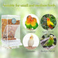 No Mess Automatic Bird Feeder