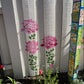 🔥Hot Sale Promotion-49% OFF🌻Garden Fence Large Flower Stencils🖌️DIY decoration