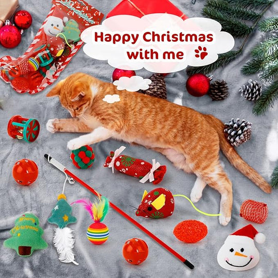 🎄🎁2025 Christmas Countdown Cat&Dog Toys Advent Calendar🐾🥳