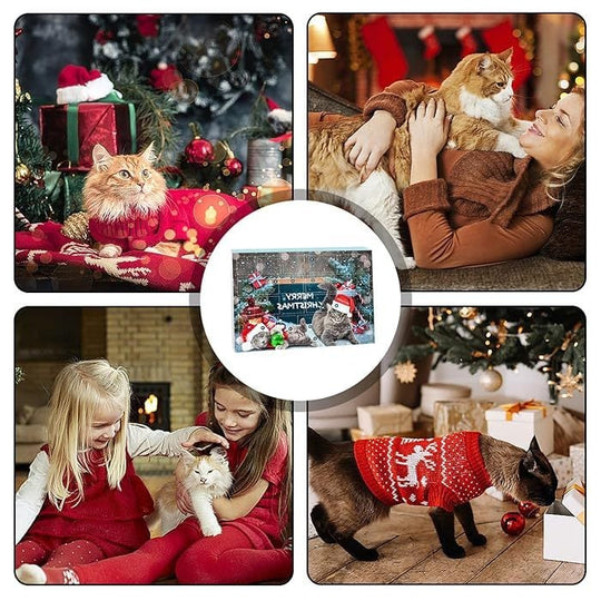 🎄🎁2025 Christmas Countdown Cat&Dog Toys Advent Calendar🐾🥳