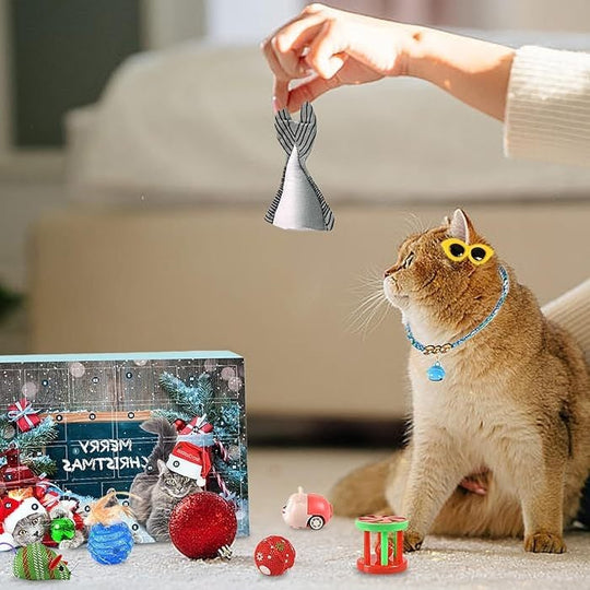 🎄🎁2025 Christmas Countdown Cat&Dog Toys Advent Calendar🐾🥳