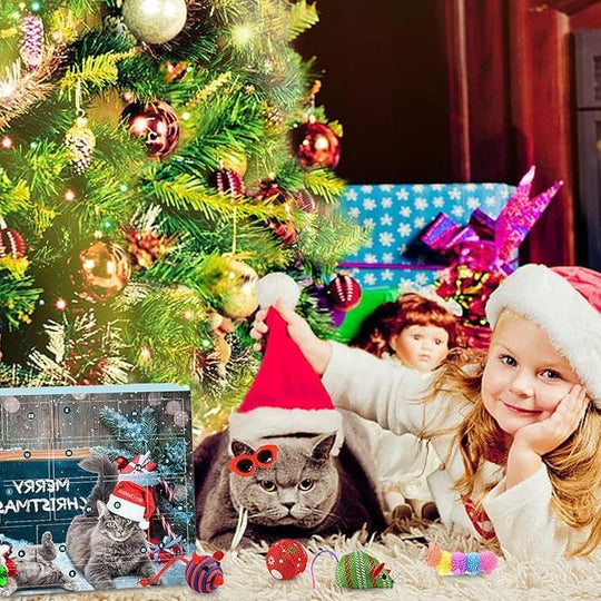 🎄🎁2025 Christmas Countdown Cat&Dog Toys Advent Calendar🐾🥳