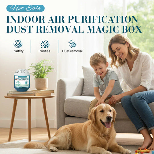 Indoor Air Purification Dust Removal Magic Box🏠🌿