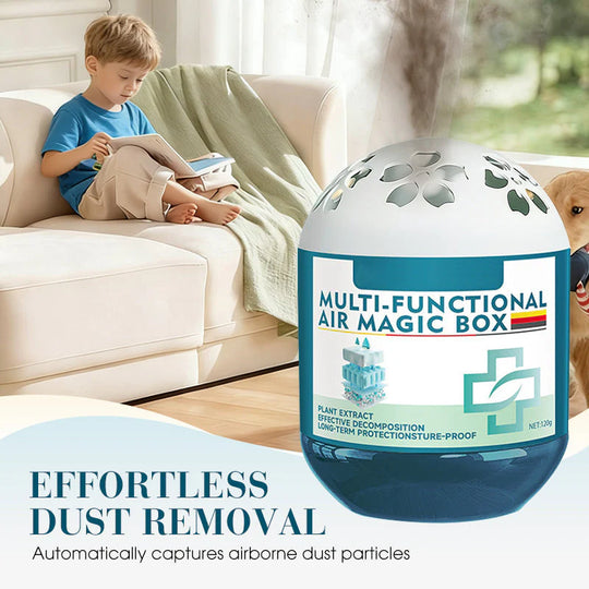 Indoor Air Purification Dust Removal Magic Box🏠🌿
