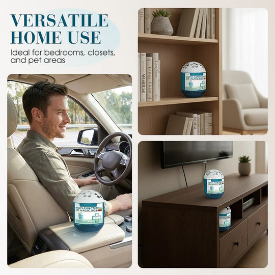 Indoor Air Purification Dust Removal Magic Box🏠🌿