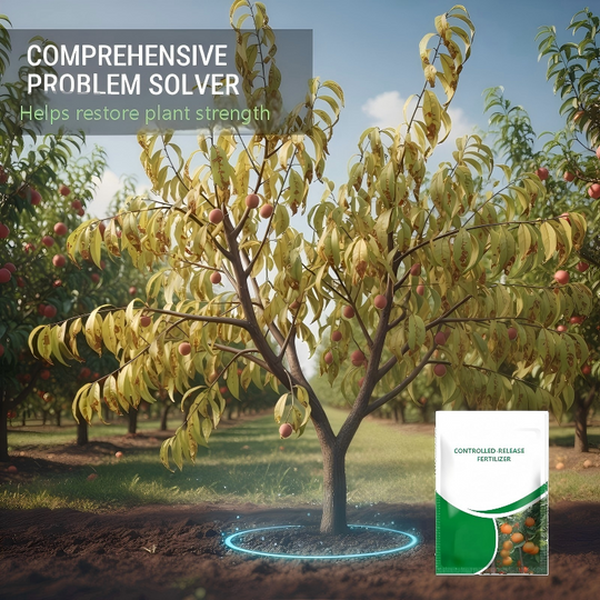 🌱 Controlled-Release Fruit Tree Fertilizer | 3-Month Slow-Release Nutrition, Balanced NPK Formula | Promotes Blossoming & Fruit Yield