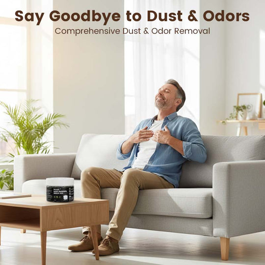 ✨🌬️Indoor Air Purification Dust Removal Magic Box