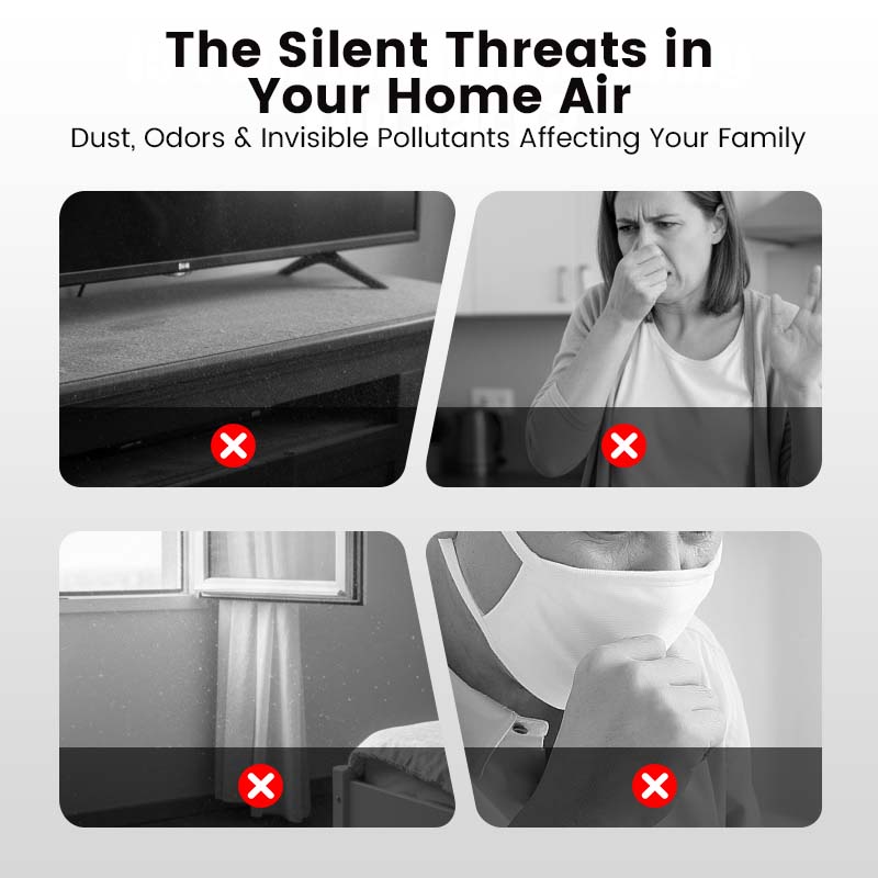 ✨🌬️Indoor Air Purification Dust Removal Magic Box