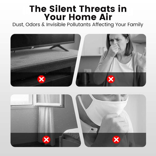 ✨🌬️Indoor Air Purification Dust Removal Magic Box