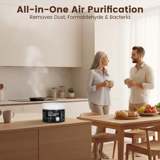 ✨🌬️Indoor Air Purification Dust Removal Magic Box