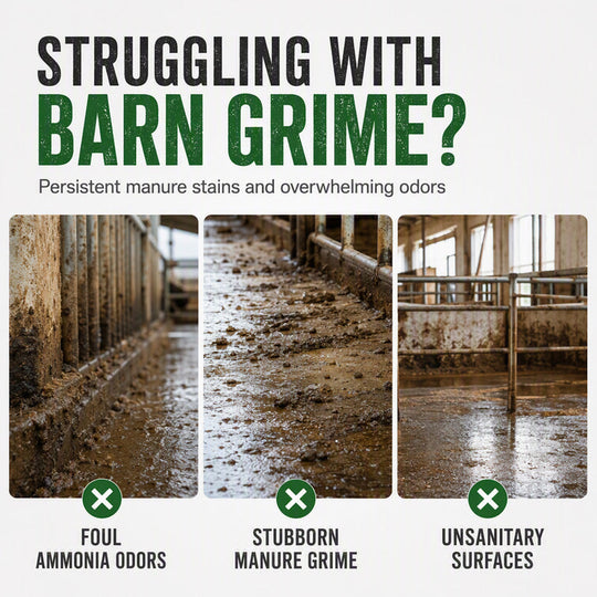 🥳2026 HOT SALE🥳💞50K+ SOLD!🐄✨Barn Stain Remover Spray – Professional‑strength formula removes dirt, stains & buildup. Freshens barns & farm surfaces – just spray & wipe! 🧹💪