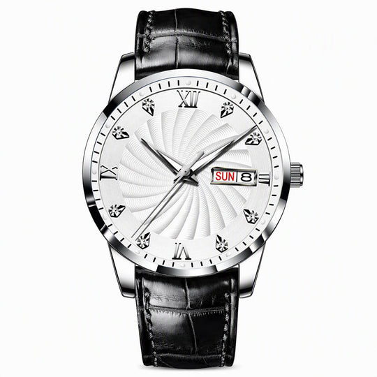 Men's Fashion Watch with Day Date Display Waterproof Luminous Hands and Alloy Steel Band