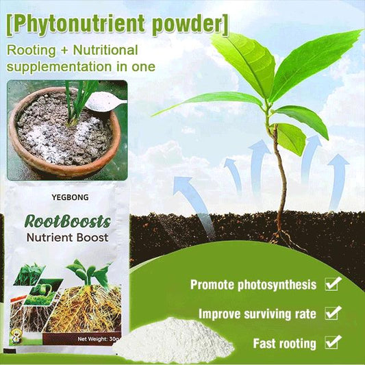 🔥Buy 5 Get 5 Free🌱Plant Hair Root Growth Nutrition Powder